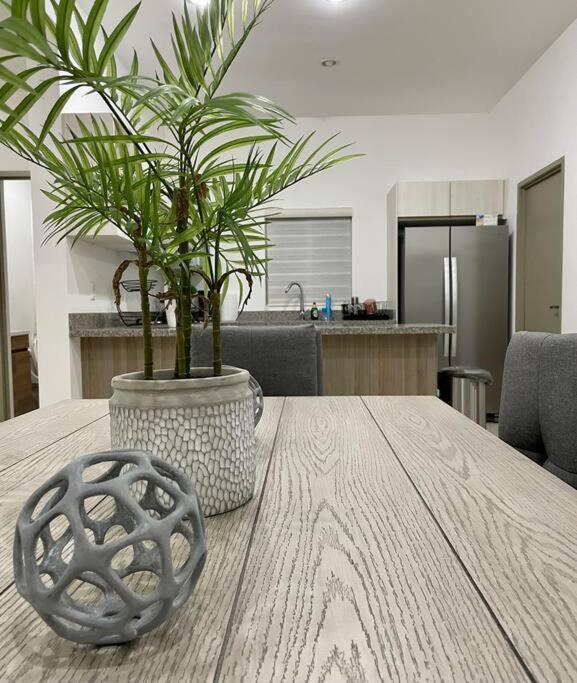 Apartamento Hermoso Y Nvo Gran Alberca A 4 Min Del Mar